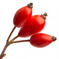 رزهیپ Rose Hip